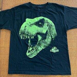 Kid’s Jurassic World T-Rex Shirt, size XL 18/20
